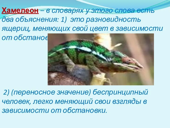 Хамелеон – в словарях у этого слова есть два объяснения: 1) это разновидность