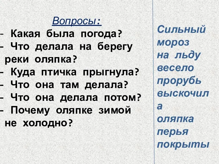 Сильный мороз на льду весело прорубь выскочила оляпка перья покрыты