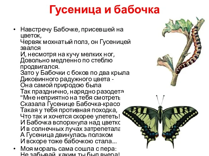Гусеница и бабочка Навстречу Бабочке, присевшей на цветок, Червяк мохнатый полз, он Гусеницей