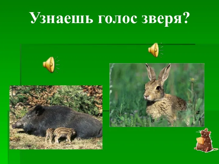 Узнаешь голос зверя?