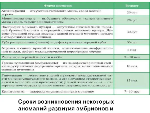 Сроки возникновения некоторых аномалий развития эмбрионов и плодов человека