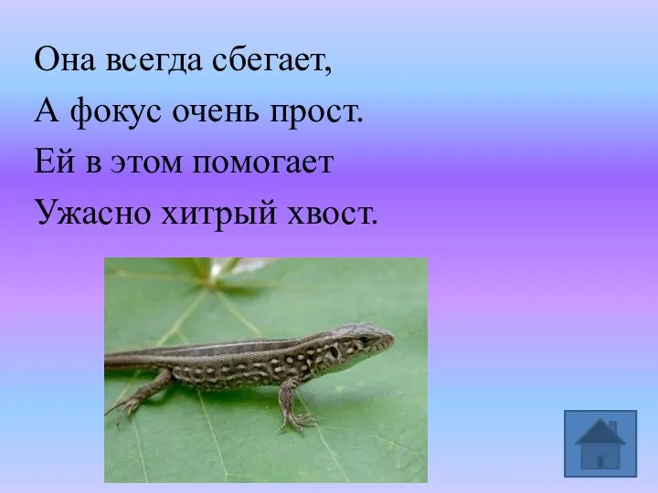 Она всегда сбегает, А фокус очень прост. Ей в этом помогает Ужасно хитрый хвост.