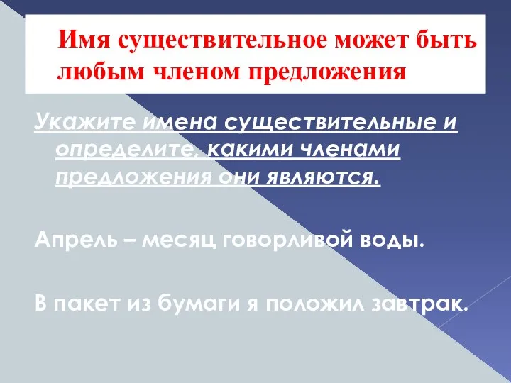 Укажите имена существительные и определите, какими членами предложения они являются.