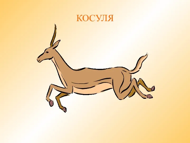 КОСУЛЯ