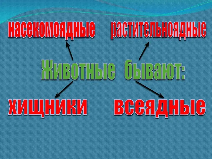 Животные бывают: насекомоядные растительноядные хищники всеядные