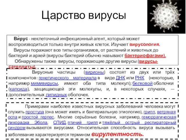 Царство вирусы Ви́рус - неклеточный инфекционный агент, который может воспроизводиться