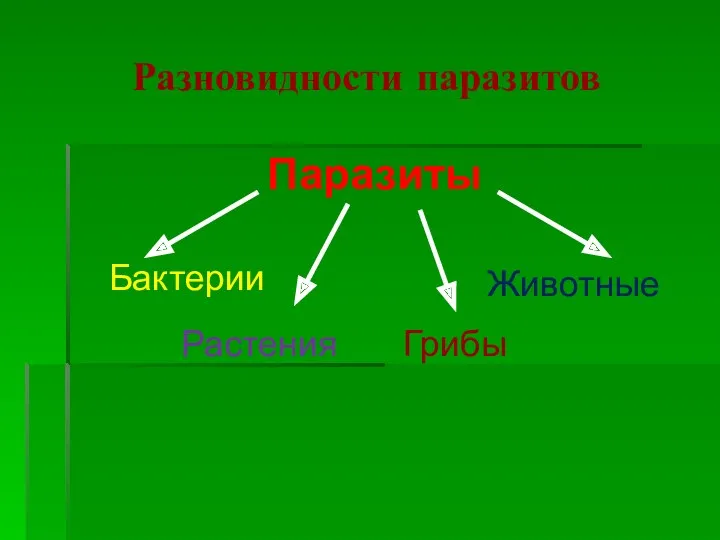 Разновидности паразитов Паразиты Бактерии Растения Грибы Животные