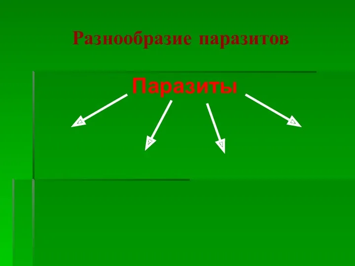 Разнообразие паразитов Паразиты