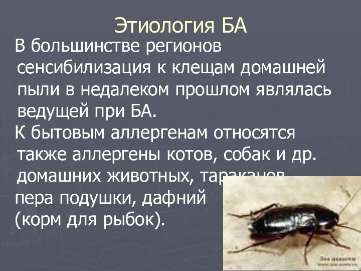 В большинстве регионов сенсибилизация к клещам домашней пыли в недалеком