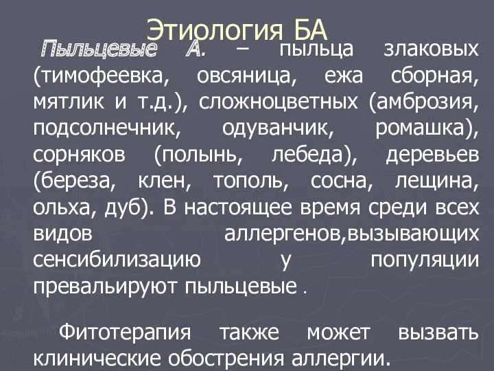 Пыльцевые А. – пыльца злаковых (тимофеевка, овсяница, ежа сборная, мятлик