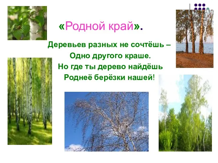 «Родной край». Деревьев разных не сочтёшь – Одно другого краше.