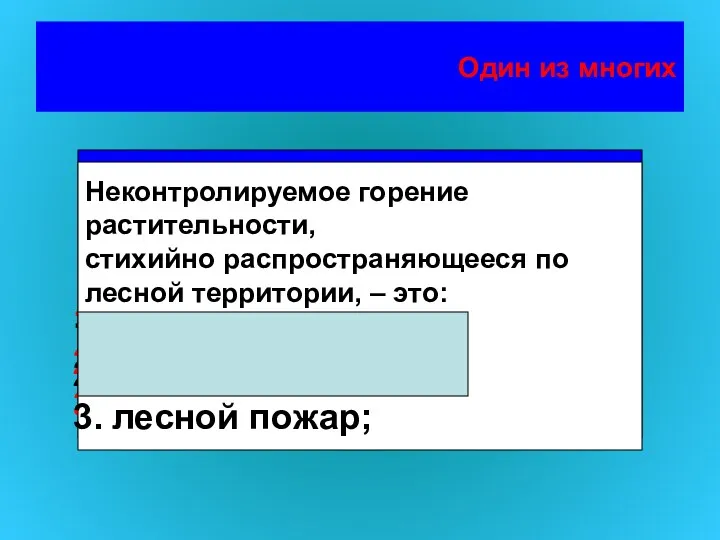 Один из многих Неконтролируемое горение растительности, стихийно распространяющееся по лесной