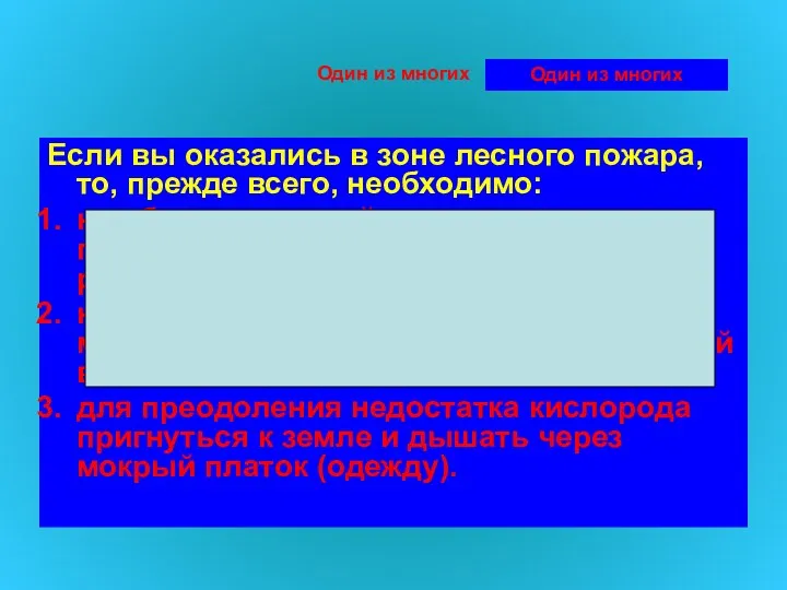 Один из многих Если вы оказались в зоне лесного пожара,