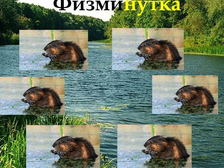 Физминутка