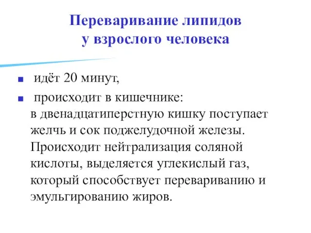 Переваривание липидов у взрослого человека идёт 20 минут, происходит в