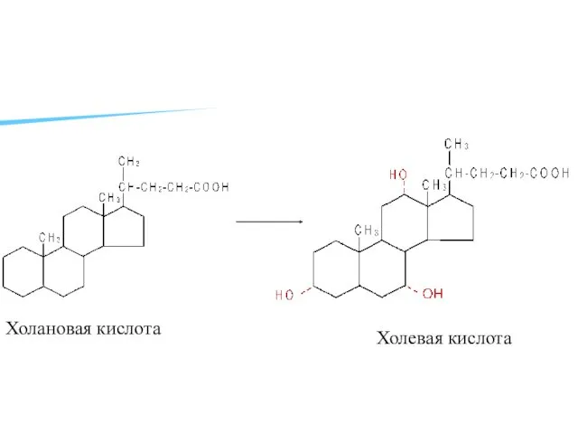 Холановая кислота Холевая кислота