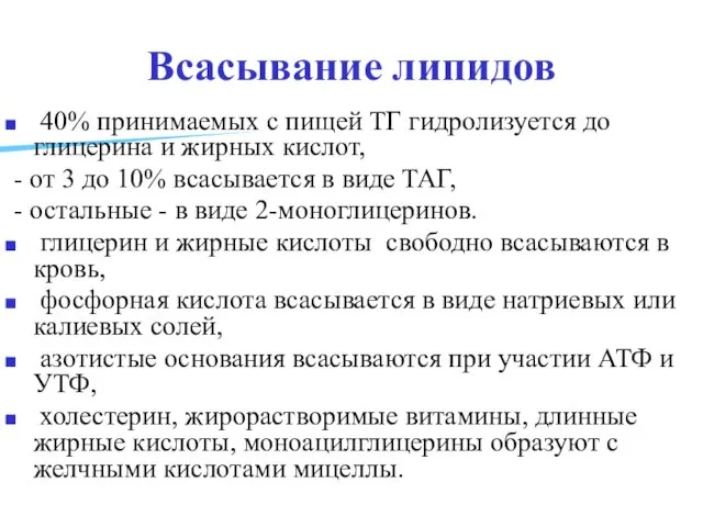 Всасывание липидов 40% принимаемых с пищей ТГ гидролизуется до глицерина