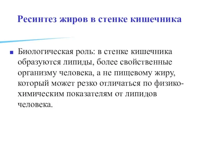 Ресинтез жиров в стенке кишечника Биологическая роль: в стенке кишечника