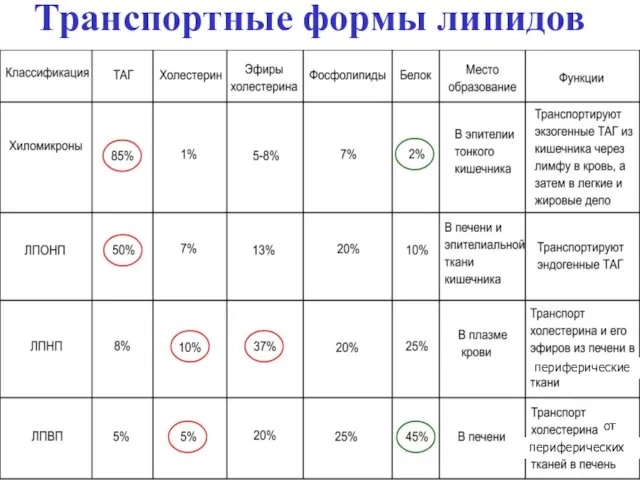 Транспортные формы липидов периферические периферических от