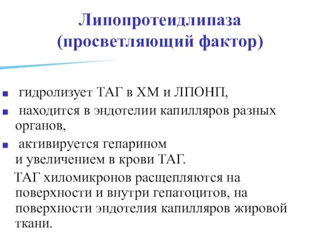 Липопротеидлипаза (просветляющий фактор) гидролизует ТАГ в ХМ и ЛПОНП, находится