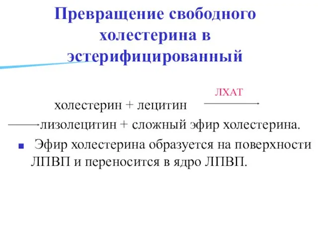 Превращение свободного холестерина в эстерифицированный холестерин + лецитин лизолецитин +