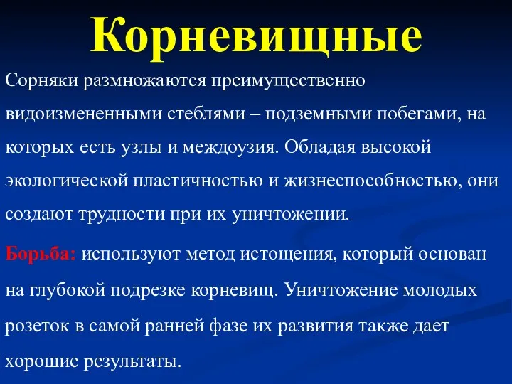 Корневищные Сорняки размножаются преимущественно видоизмененными стеблями – подземными побегами, на