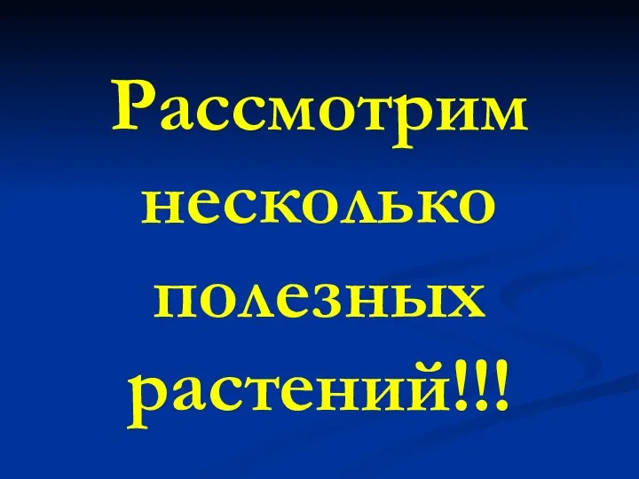 Рассмотрим несколько полезных растений!!!