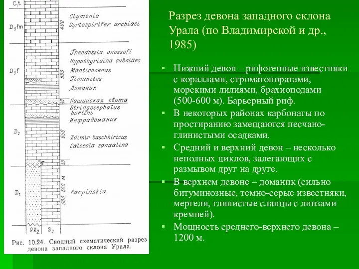Разрез девона западного склона Урала (по Владимирской и др., 1985) Нижний девон –
