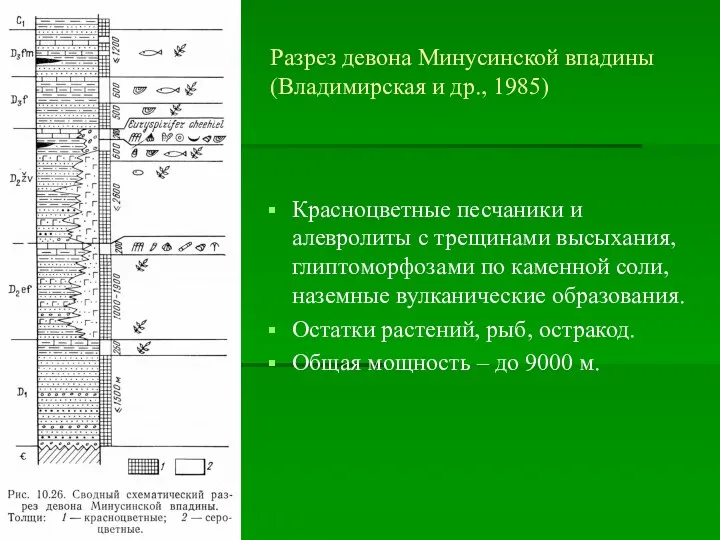 Разрез девона Минусинской впадины (Владимирская и др., 1985) Красноцветные песчаники
