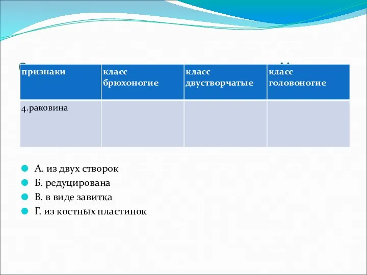 Сравнительная характеристика классов типа Моллюски А. из двух створок Б.