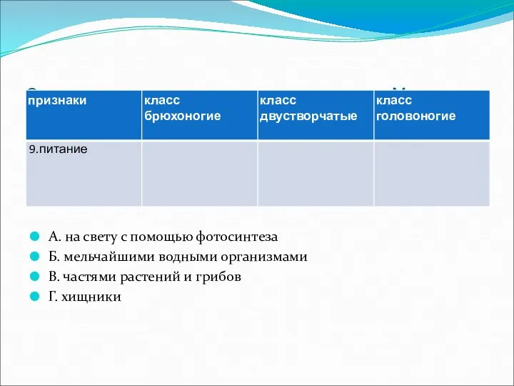 Сравнительная характеристика классов типа Моллюски А. на свету с помощью