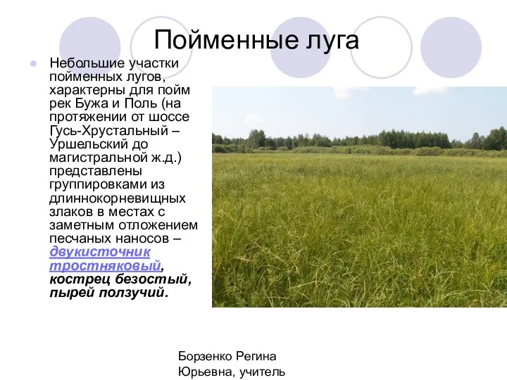 Борзенко Регина Юрьевна, учитель биологии МБОУ СОШ №3 г.Гусь-Хрустальный Пойменные