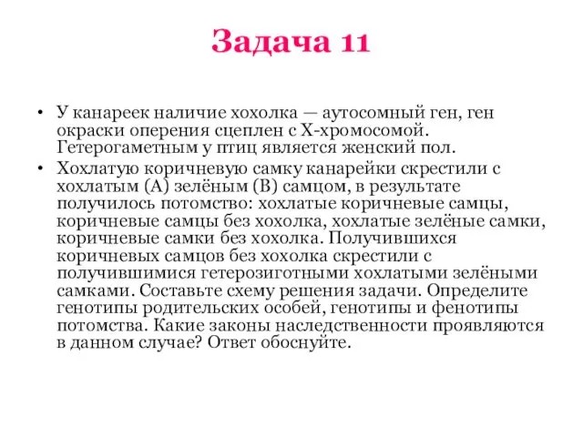 Задача 11 У канареек наличие хохолка — аутосомный ген, ген