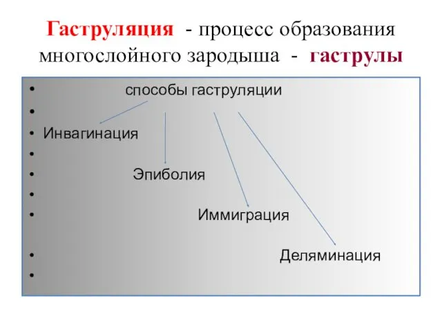 Гаструляция - процесс образования многослойного зародыша - гаструлы способы гаструляции Инвагинация Эпиболия Иммиграция Деляминация