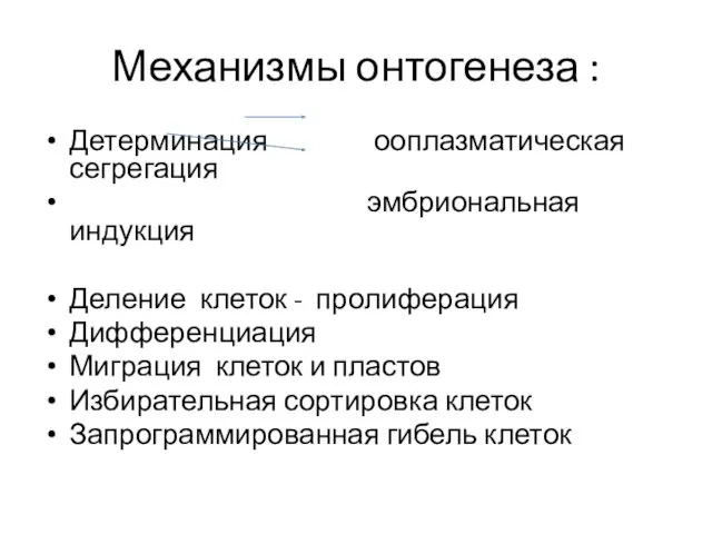 Механизмы онтогенеза : Детерминация ооплазматическая сегрегация эмбриональная индукция Деление клеток