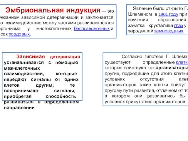 Эмбриональная индукция — это механизм зависимой детерминации и заключается во