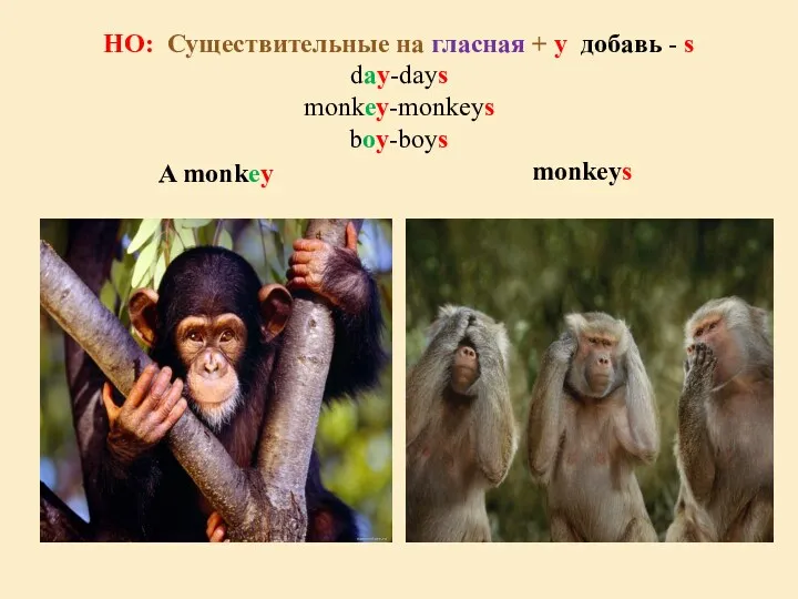 НО: Существительные на гласная + y добавь - s day-days monkey-monkeys boy-boys A monkey monkeys