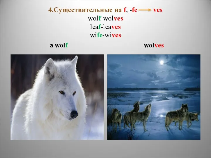 4.Существительные на f, -fe ves wolf-wolves leaf-leaves wife-wives a wolf wolves