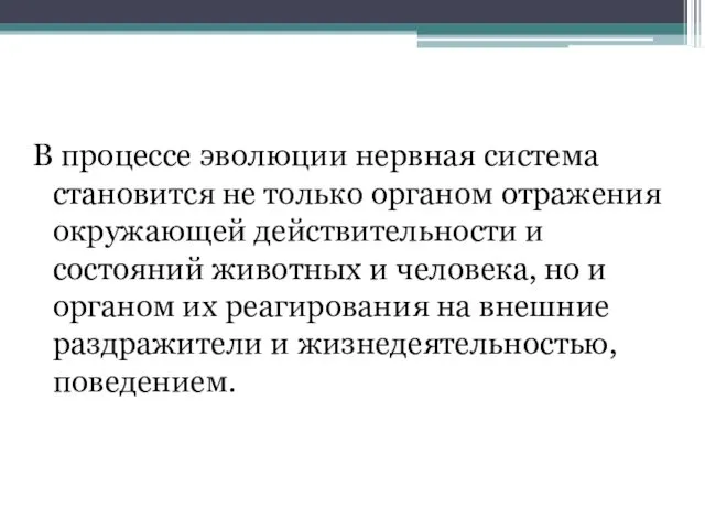 В процессе эволюции нервная система становится не только органом отражения