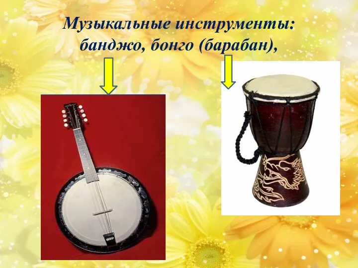 Музыкальные инструменты: банджо, бонго (барабан),