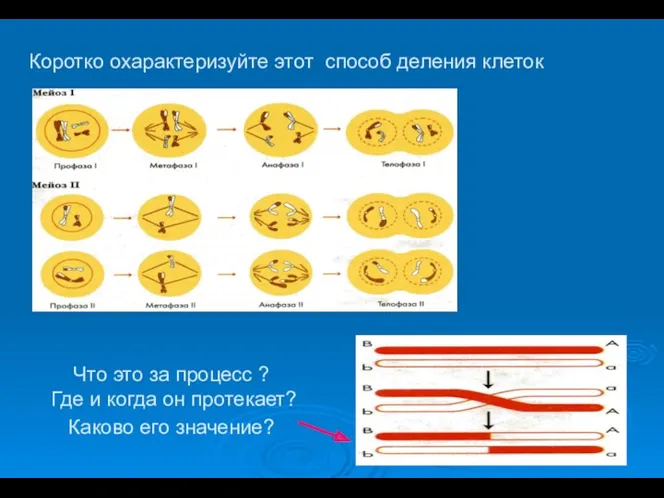 Что это за процесс ? Где и когда он протекает?