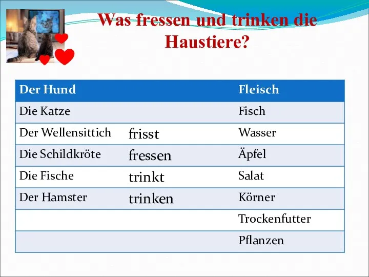 Was fressen und trinken die Haustiere?