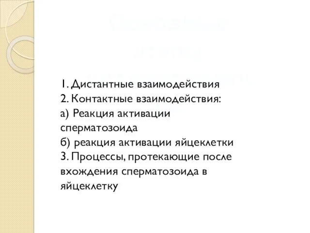 Основные этапы оплодотворения 1. Дистантные взаимодействия 2. Контактные взаимодействия: а)