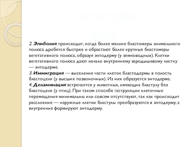 Гаструляция 2. Эпиболия происходит, когда более мелкие бластомеры анимального полюса