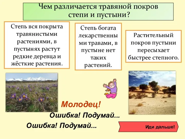 Чем различается травяной покров степи и пустыни? Степь богата лекарственными