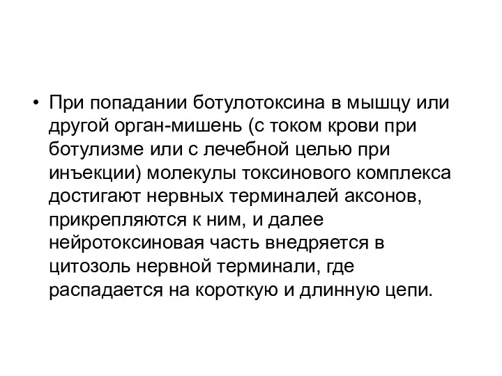 При попадании ботулотоксина в мышцу или другой орган-мишень (с током