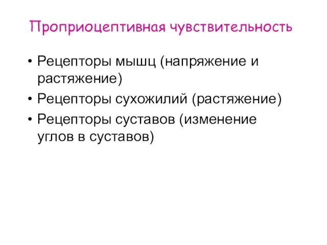 Проприоцептивная чувствительность Рецепторы мышц (напряжение и растяжение) Рецепторы сухожилий (растяжение) Рецепторы суставов (изменение углов в суставов)