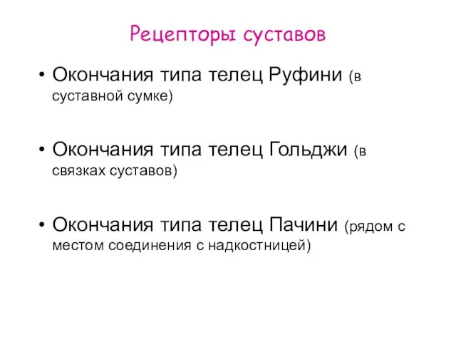 Рецепторы суставов Окончания типа телец Руфини (в суставной сумке) Окончания