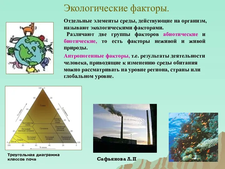 Экологические факторы. Треугольная диаграмма классов почв Отдельные элементы среды, действующие