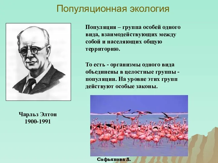 Популяционная экология Чарльз Элтон 1900-1991 Популяция – группа особей одного